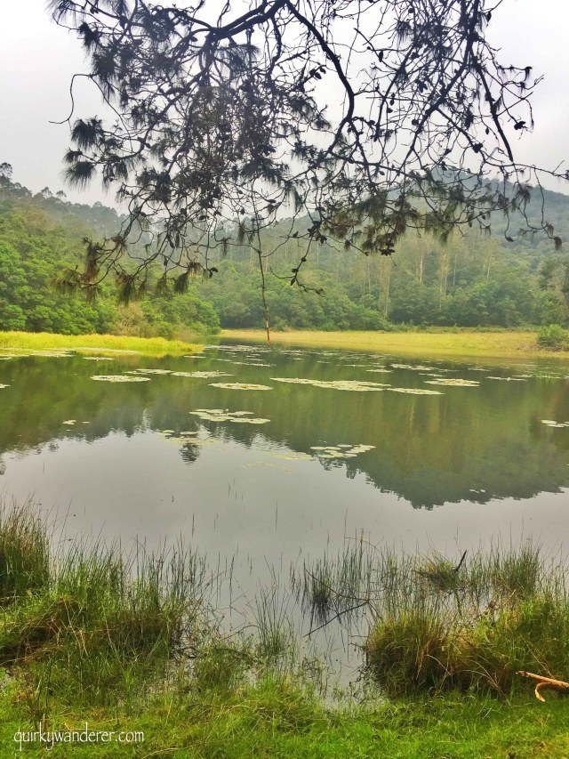Photo of Offbeat Kodaikanal experiences by Divyakshi Gupta