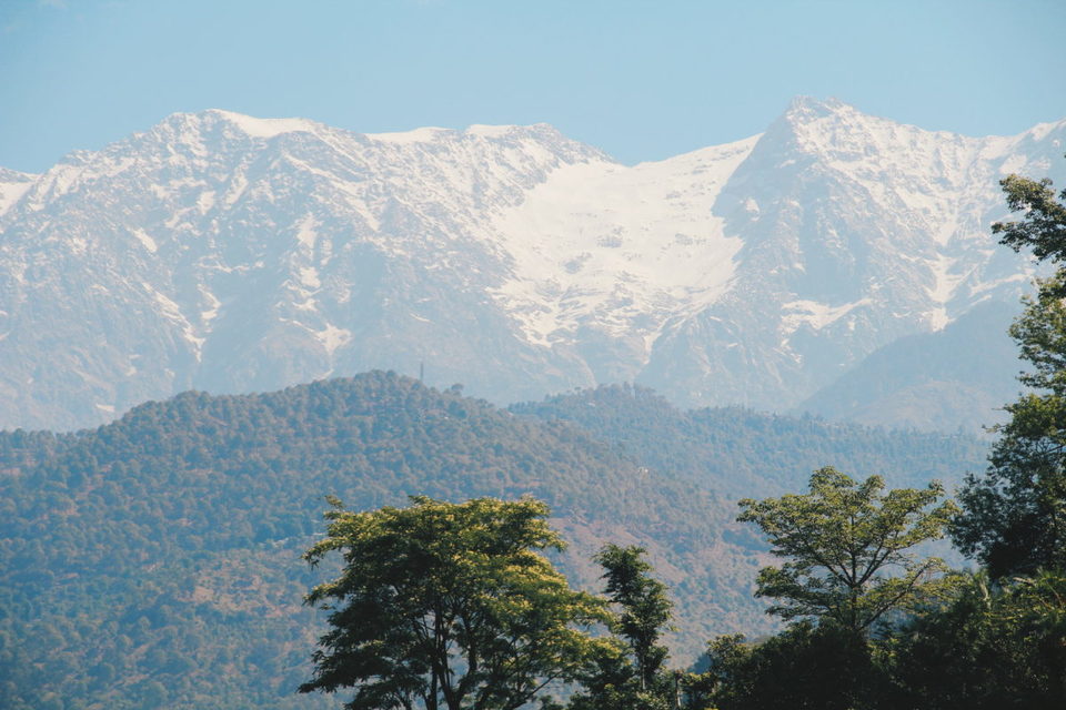 Photo of 7 things to do in Dharamshala: The Land Of Monasteries and Monks - (The Lazy Diva) 1/10 by Preeti Suman Mohapatra
