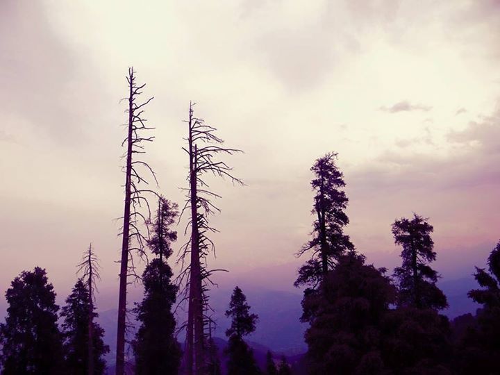 Photo of And the mountains echoed 6/28 by Aakanksha S