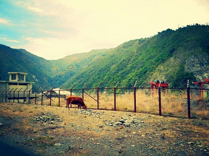 Photo of And the mountains echoed 5/28 by Aakanksha S