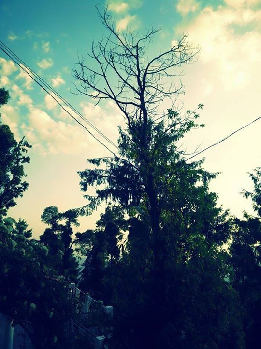 Photo of And the mountains echoed by Aakanksha S