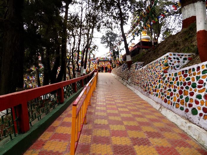 Photo of Romanticism unleashed at Darjeeling 16/19 by Monojit Mandal