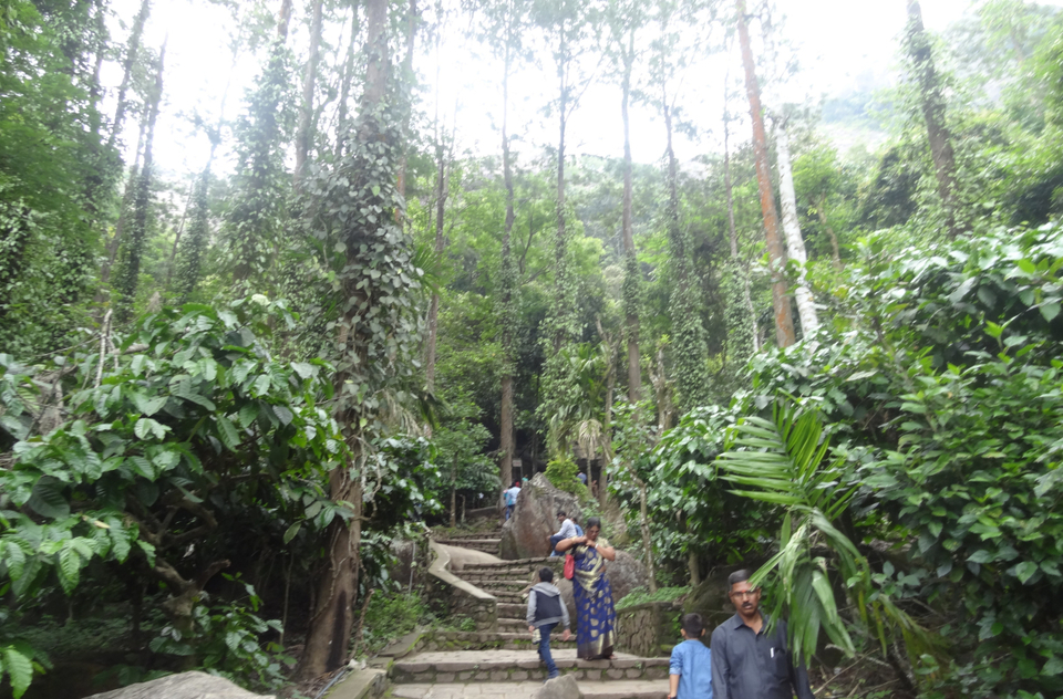 Photo of Wayanad - Edakkal Caves - Day 1 - P1 8/12 by Prasath C S