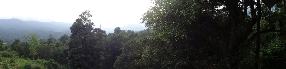 Photo of Wayanad - Thirunelli Temple - Day 2 - P4 by Prasath C S