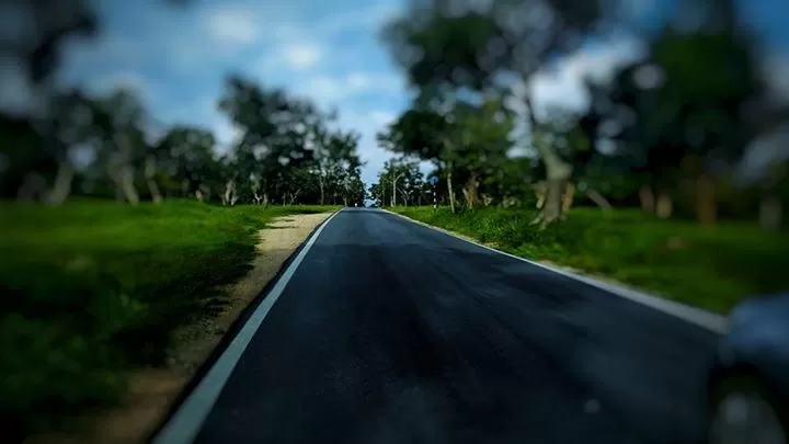 Photo of Bandipur National Park, Karnataka, India by Sudha Kumari