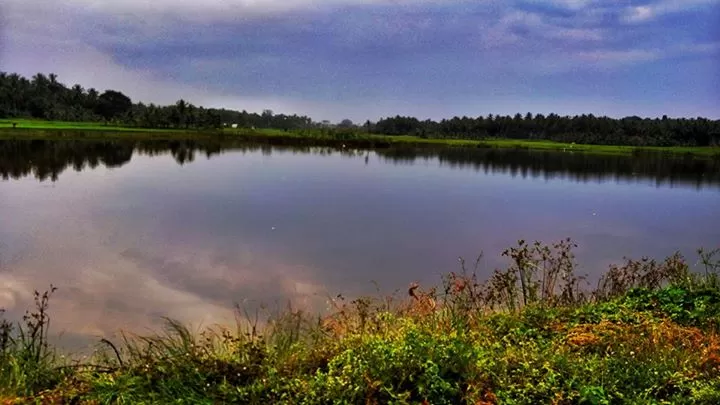 Photo of Bandipur National Park, Karnataka, India by Sudha Kumari