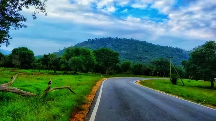 Photo of Bandipur National Park, Karnataka, India by Sudha Kumari