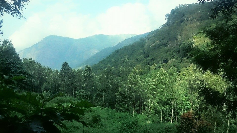 Photo of Yercaud: Jewel of the South/ Lake Forest 5/19 by Sudha Kumari