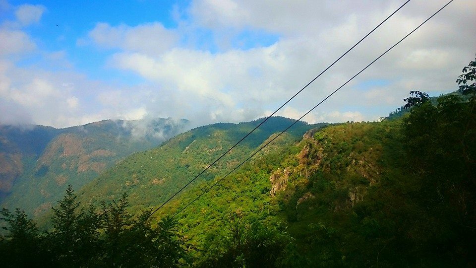 Photo of Yercaud: Jewel of the South/ Lake Forest 3/19 by Sudha Kumari