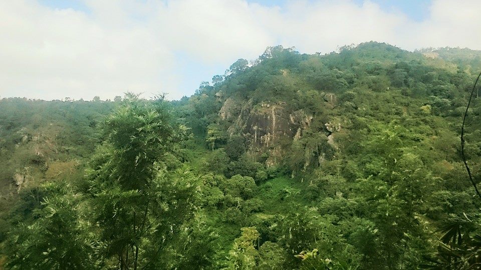 Photo of Yercaud: Jewel of the South/ Lake Forest 4/19 by Sudha Kumari