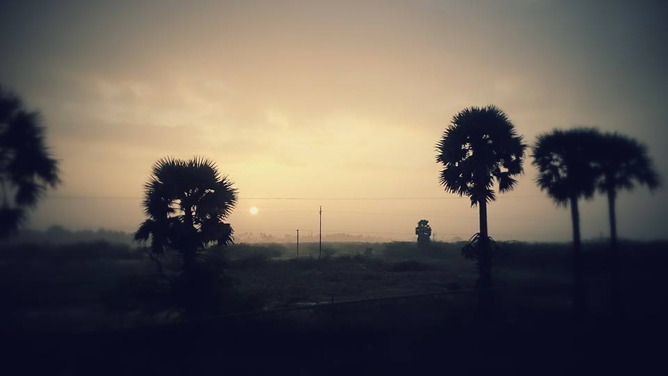Photo of Yercaud: Jewel of the South/ Lake Forest 7/19 by Sudha Kumari