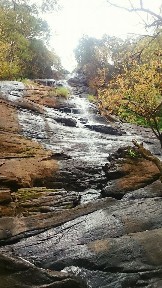 Photo of Yercaud: Jewel of the South/ Lake Forest 1/19 by Sudha Kumari