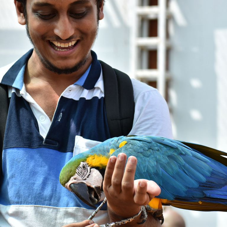 Photo of YELAGIRI- A DAY WITH MACAW #yelagirihills by karthy
