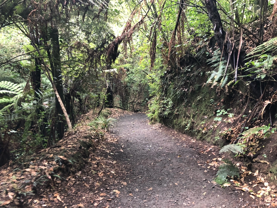 Photo of Parnell,Auckland by Nikhil Shévadé
