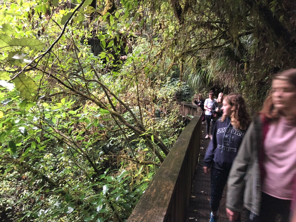 Photo of Waitomo by Nikhil Shévadé