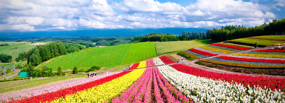 Photo of 5 Ultra Instagrammable Spots in Japanese Countryside 3/7 by Mandavi Jaiswal