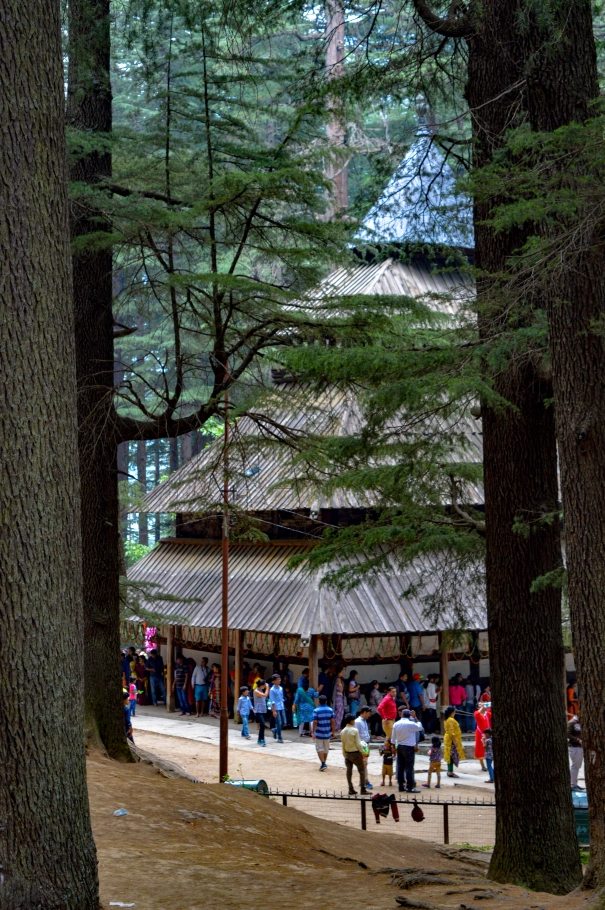Photo of Hadimba Temple Road, Old Manali, Manali, Himachal Pradesh, India by Mountain Balak