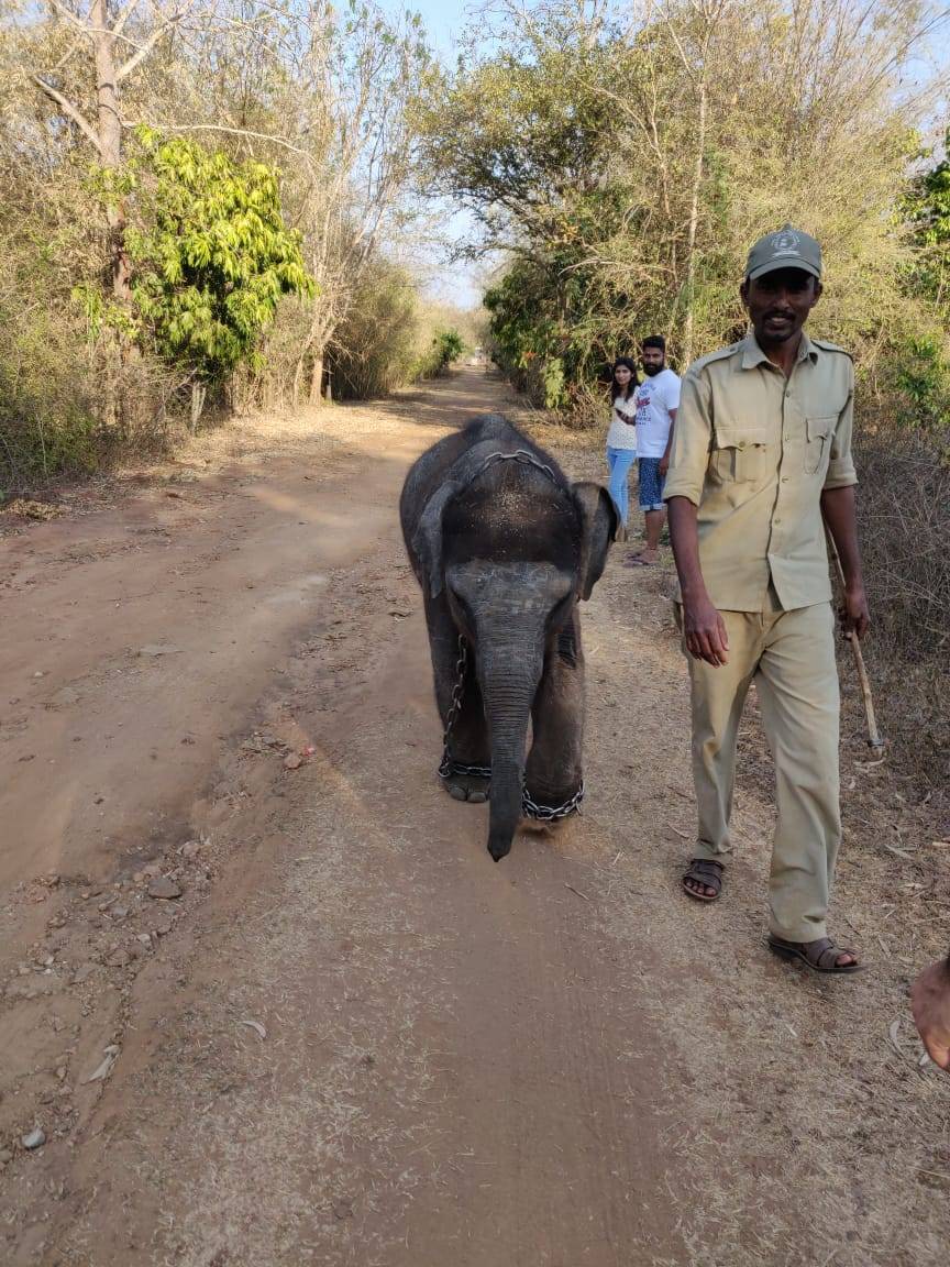 Photo of Trip to wilderness and pilgrim 16/17 by varun jain