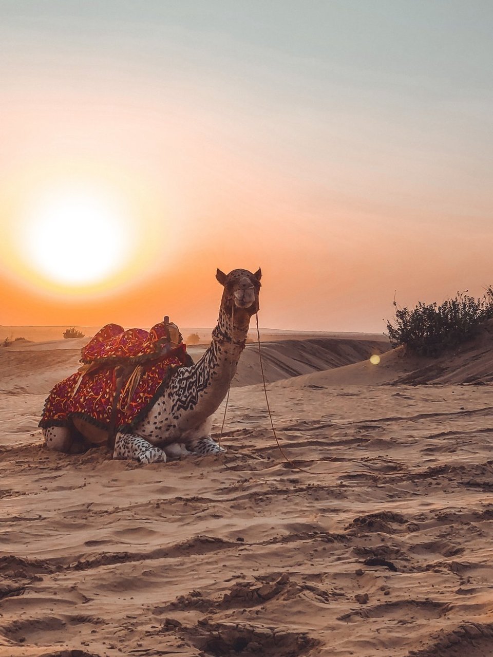 Photo of 12 most gram worthy places in Rajasthan. 30/40 by siddhantika waghmare