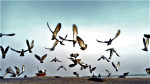 Photo of VARANASI - THE MINI INDIA 1/9 by Moupiya Banerjee