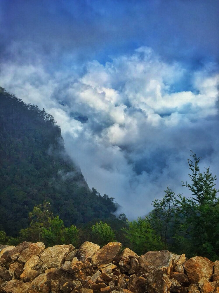 Photo of Vattakanal, Kodaikanal, Tamil Nadu, India by Kriti