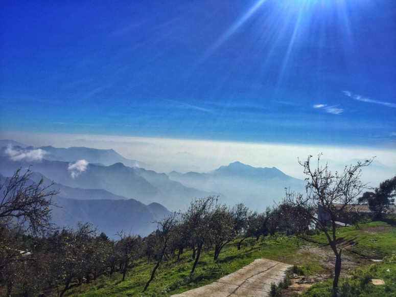 Photo of South India's town of clouds: Vattakanal by Kriti