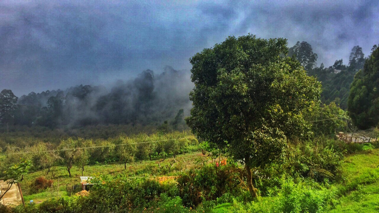 Photo of South India's town of clouds: Vattakanal by Kriti