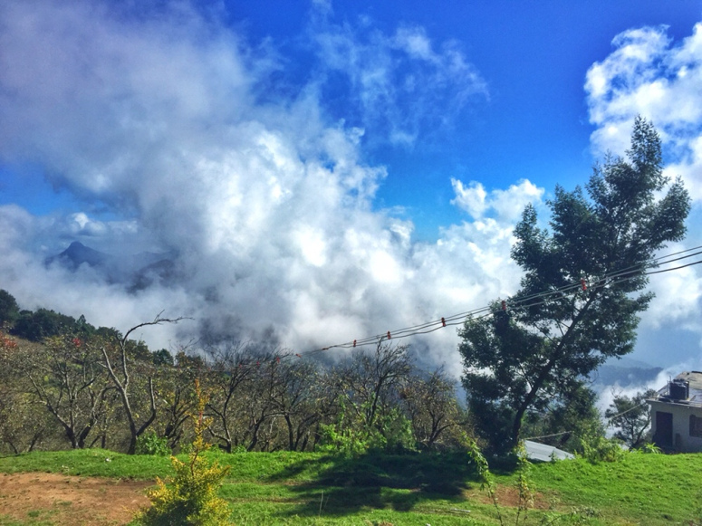Photo of South India's town of clouds: Vattakanal by Kriti