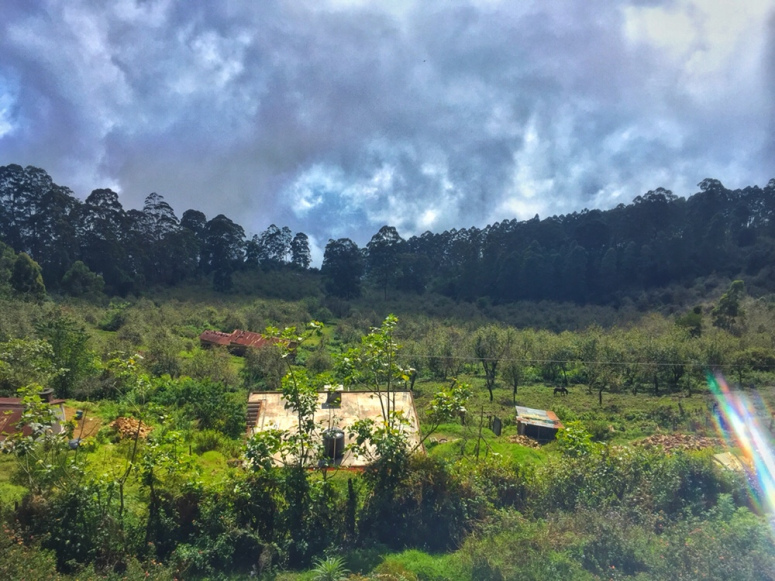 Photo of South India's town of clouds: Vattakanal by Kriti