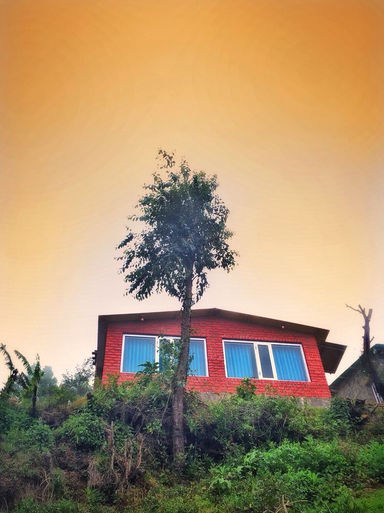 Photo of South India's town of clouds: Vattakanal by Kriti