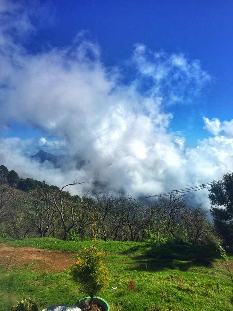 Photo of South India's town of clouds: Vattakanal by Kriti