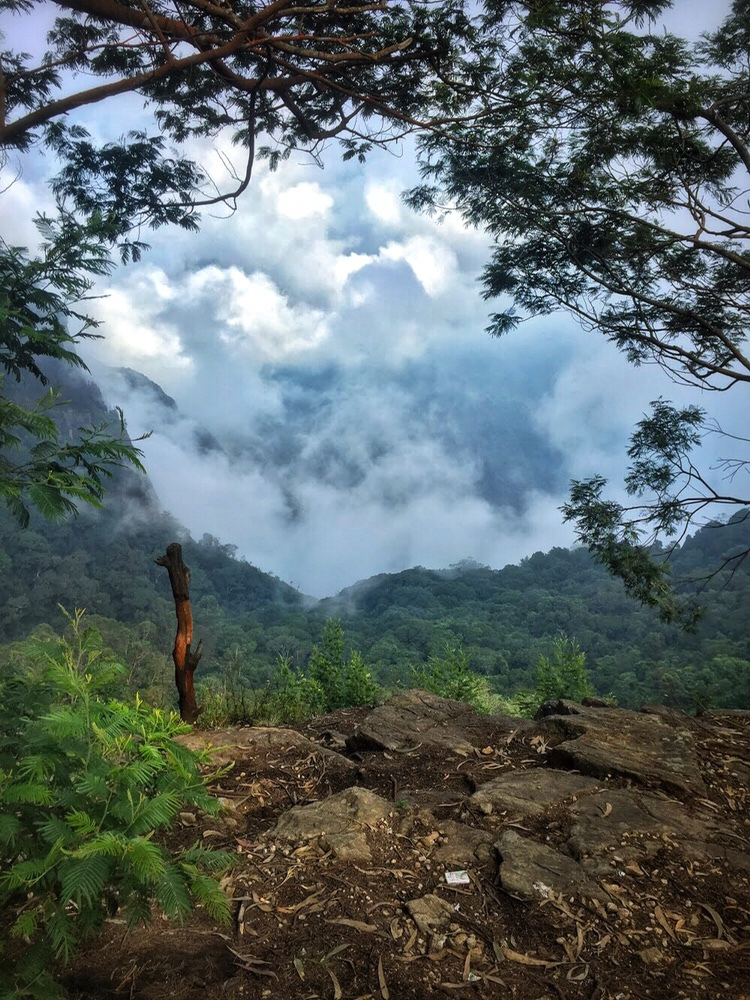 Photo of South India's town of clouds: Vattakanal by Kriti