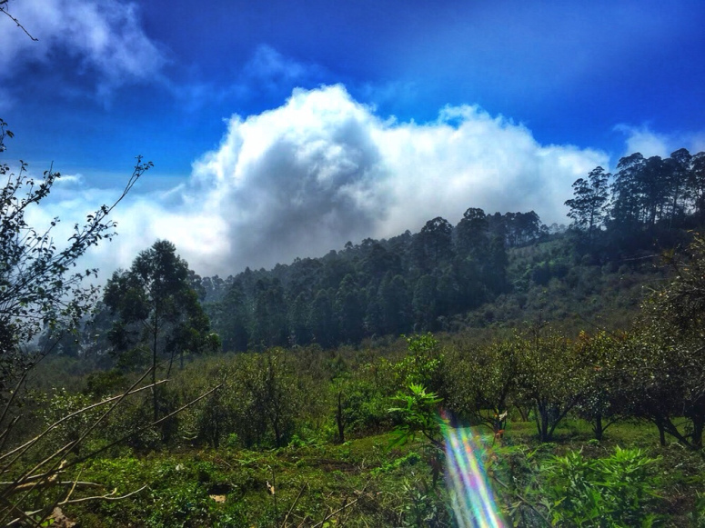 Photo of South India's town of clouds: Vattakanal by Kriti