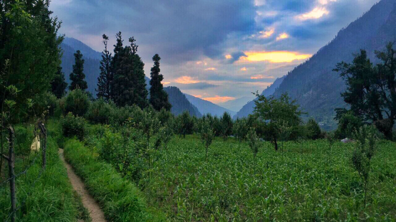 Photo of The Apple Village of Parvati : Kalga by Vrinda & Kriti
