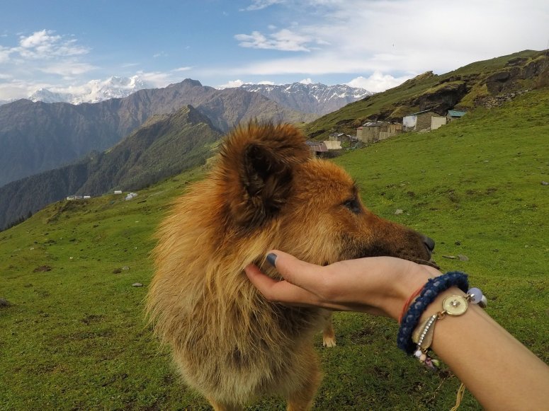 Photo of 3 Reasons why you need to do the Chandrashila Trek 9/12 by Kriti