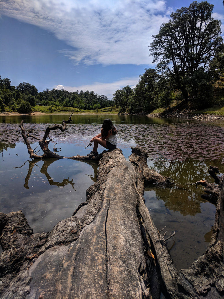 Photo of 3 Reasons why you need to do the Chandrashila Trek 10/12 by Kriti