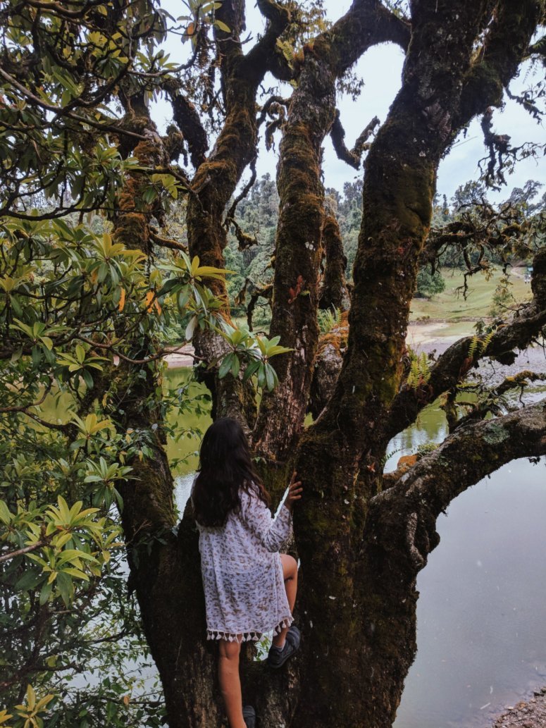 Photo of 3 Reasons why you need to do the Chandrashila Trek 12/12 by Kriti