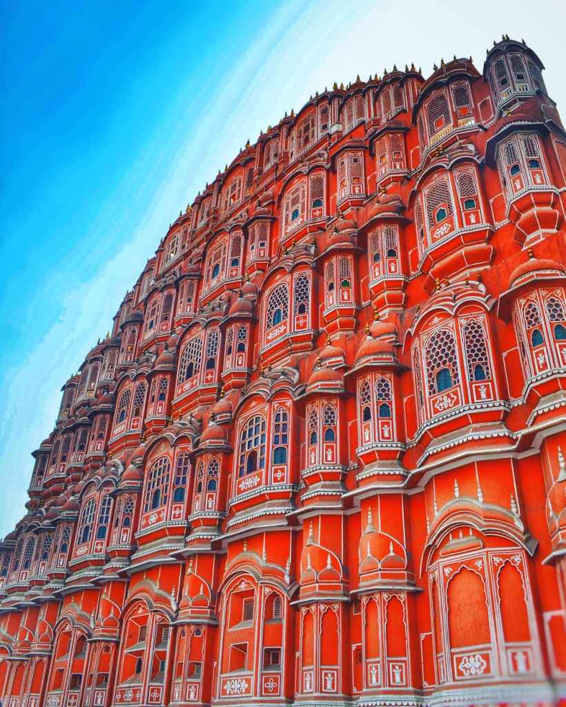 Photo of Pink beauty :jaipur 3/15 by vandana khaljhunia