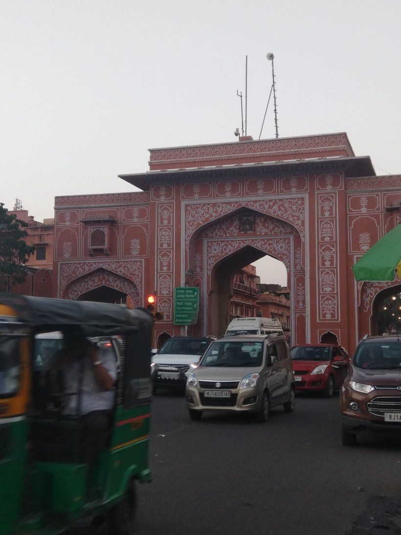 Photo of Pink beauty :jaipur 15/15 by vandana khaljhunia