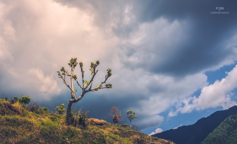 Photo of Nag Tibba, Jaunpur Range, Uttarakhand by Anoop Verma