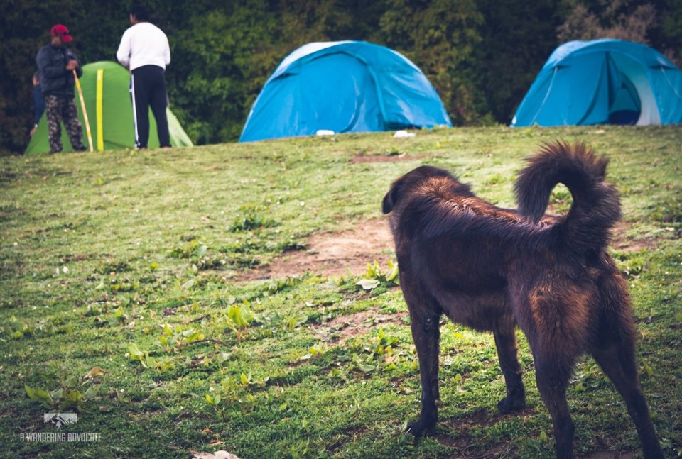 Photo of Nag Tibba Base Camp, Jaunpur Range, Uttarakhand, India by Anoop Verma
