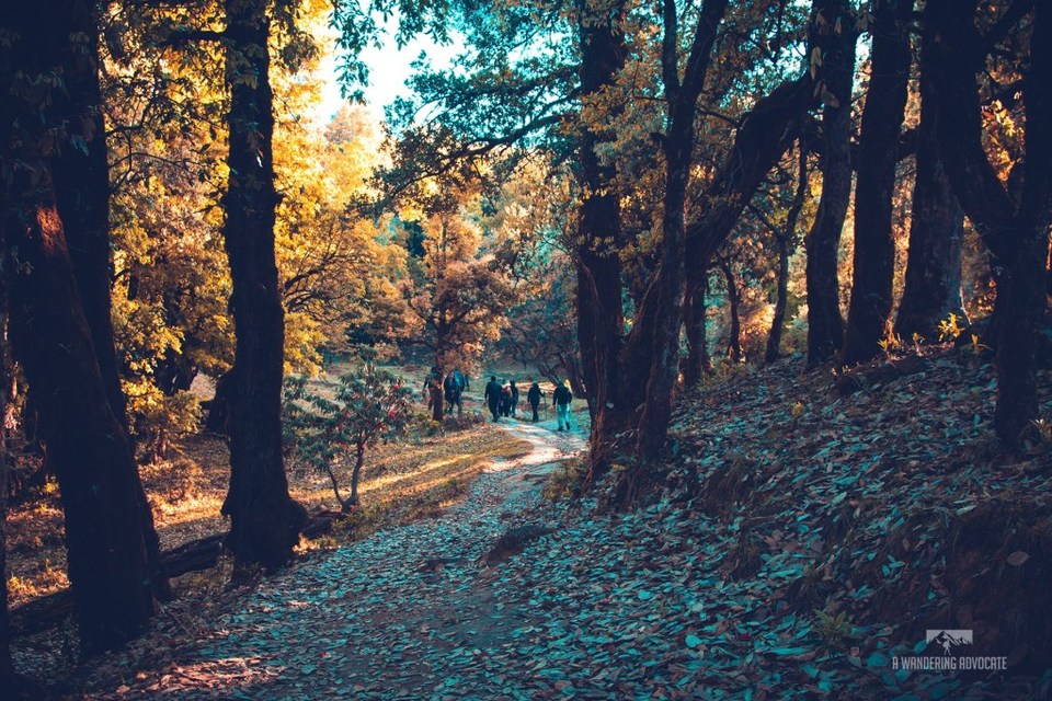 Photo of "A TREK TO NAG TIBBA SUMMIT" - by Anoop Verma