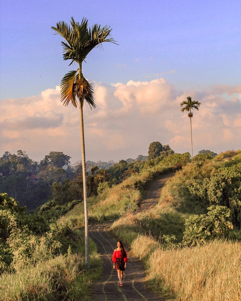 Photo of Campuhan Ridge Walk, Jalan Raya Campuan, Sayan, Gianyar, Bali, Indonesia by Suvarna Arora