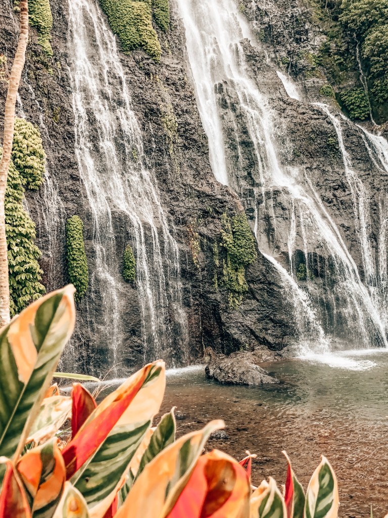 Photo of Bali, Indonesia by Suvarna Arora