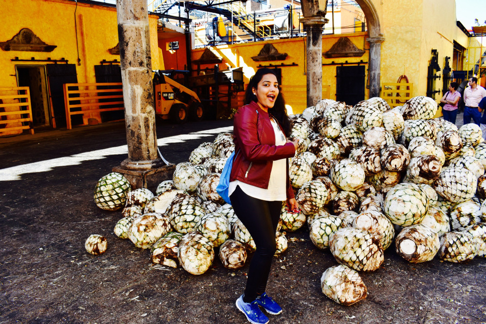 Photo of The Cultural Quintessence of Mexico- 6 days,6 cultural & historic towns #TravelOnAClock by Indigirlious.Travel