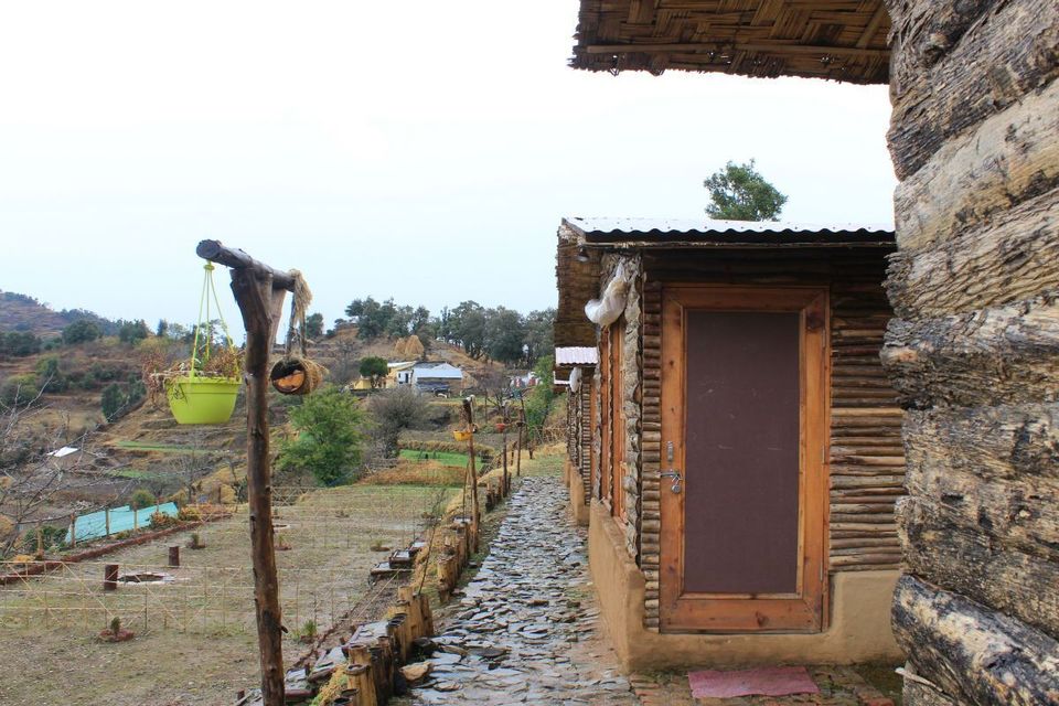 Photo of Once upon a forest, a hidden gem in the hidden valley of Hariyal by Arpita Agnihotri