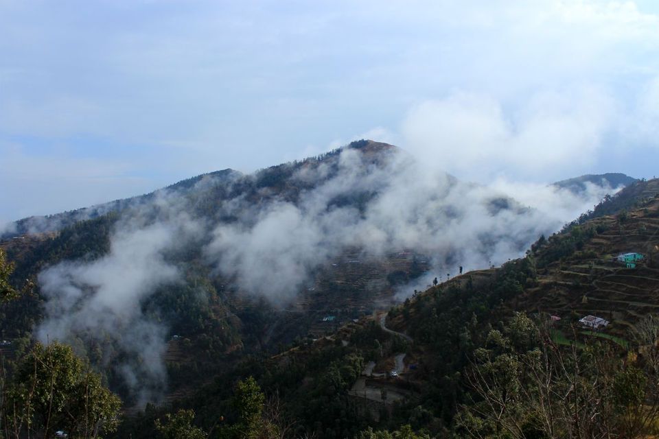 Photo of Once upon a forest, a hidden gem in the hidden valley of Hariyal by Arpita Agnihotri