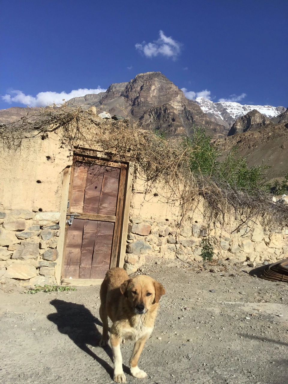 Photo of Spiti:The land of lamas budget travel guide by Mohd Affan
