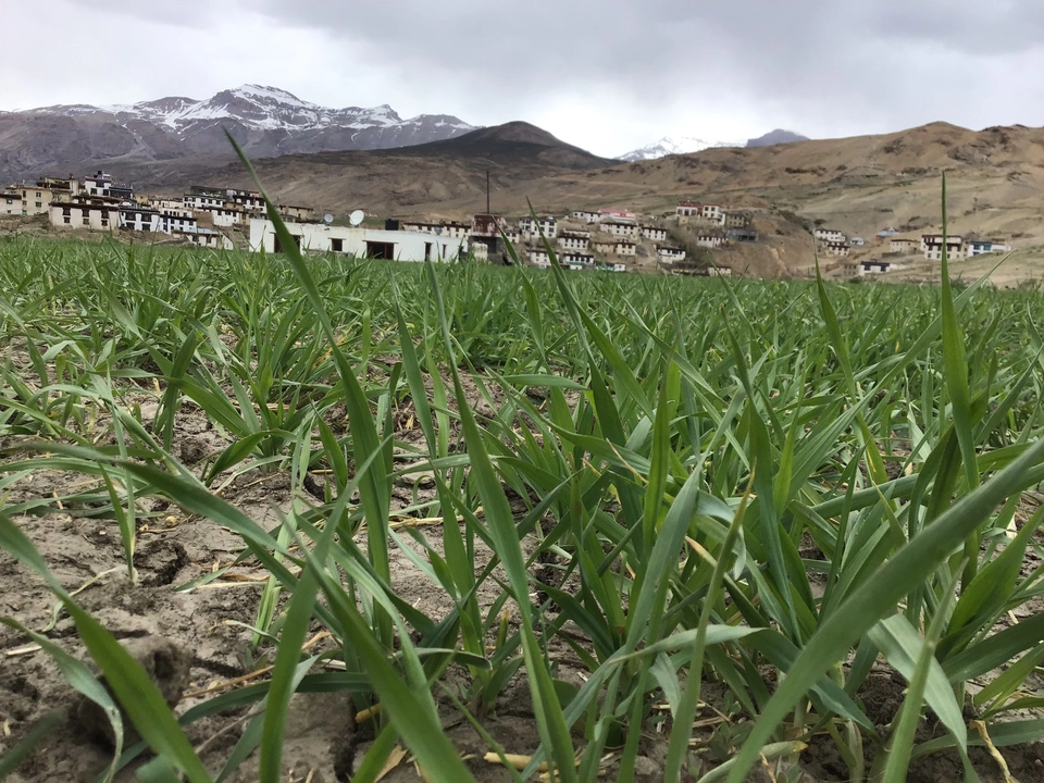 Photo of Spiti:The land of lamas budget travel guide by Mohd Affan