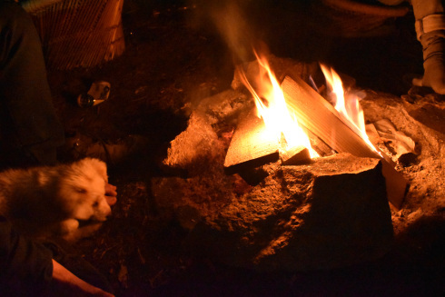 Photo of Solo Backpacking : Mcleodganj , Dharamkot 6/11 by Shaurya Kalia